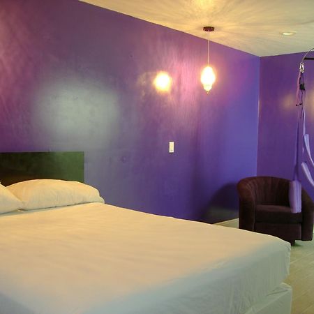 Hotel Le Reve פסדינה מראה חיצוני תמונה