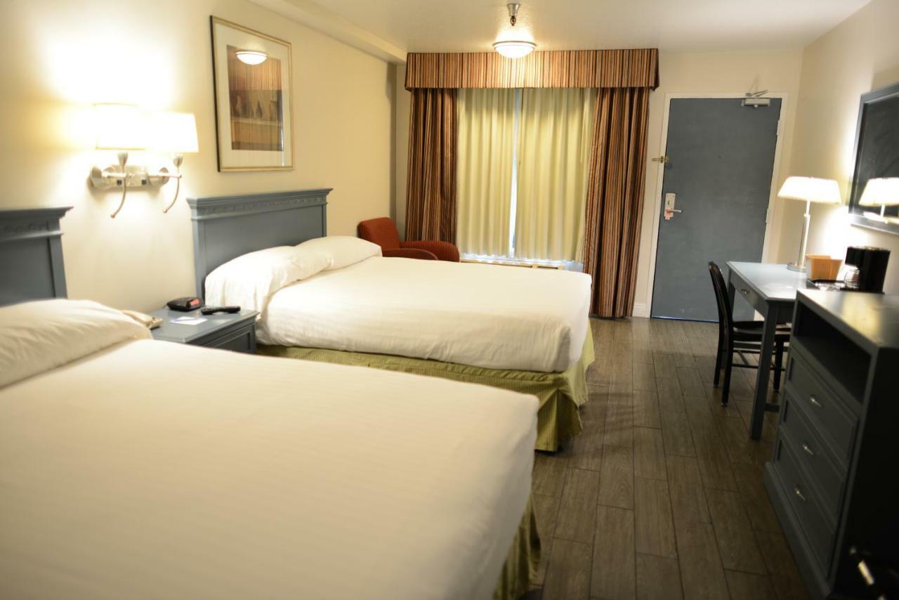 Hotel Le Reve פסדינה מראה חיצוני תמונה
