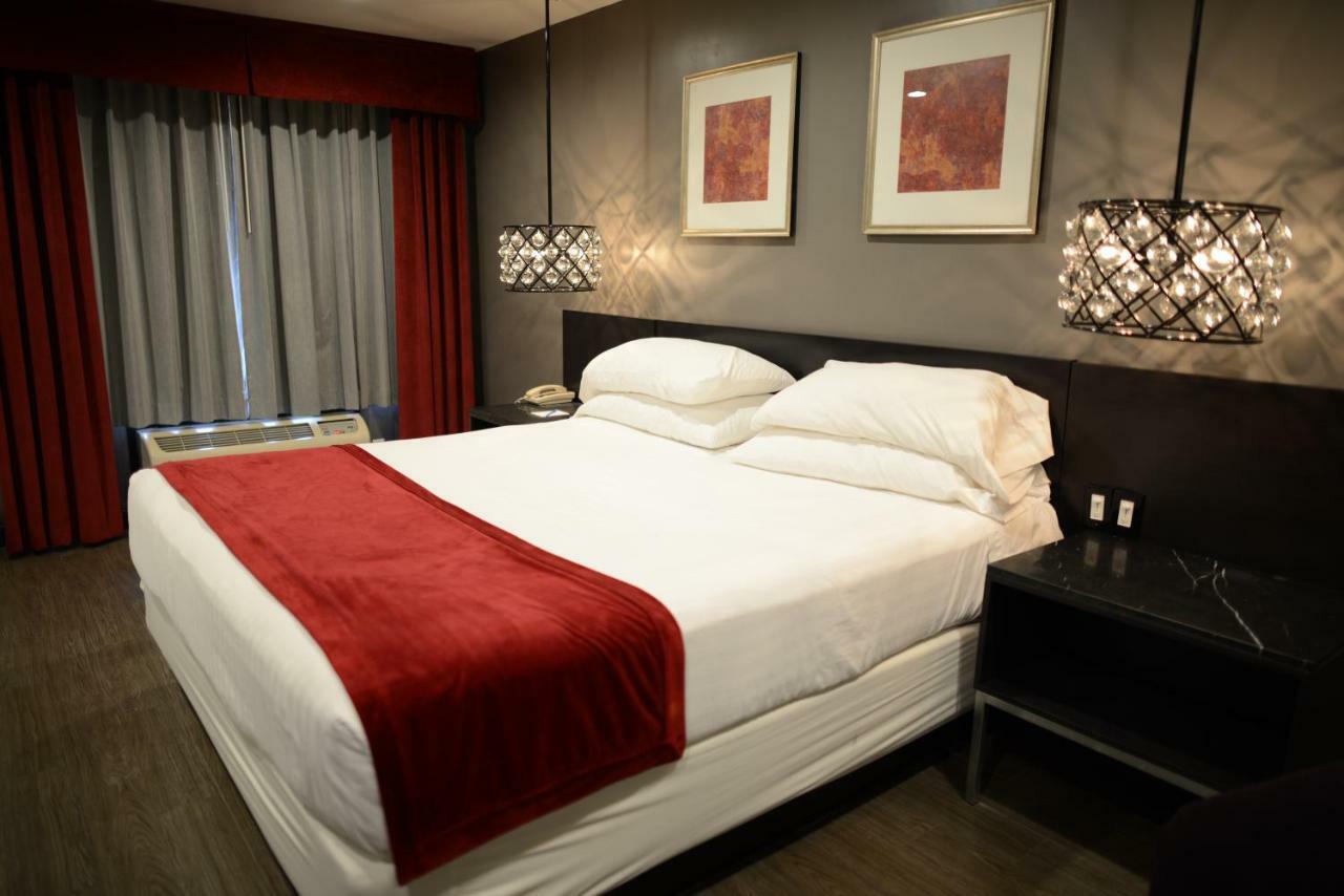 Hotel Le Reve פסדינה מראה חיצוני תמונה