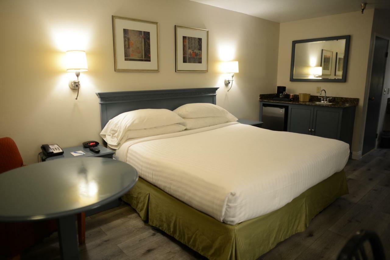 Hotel Le Reve פסדינה מראה חיצוני תמונה